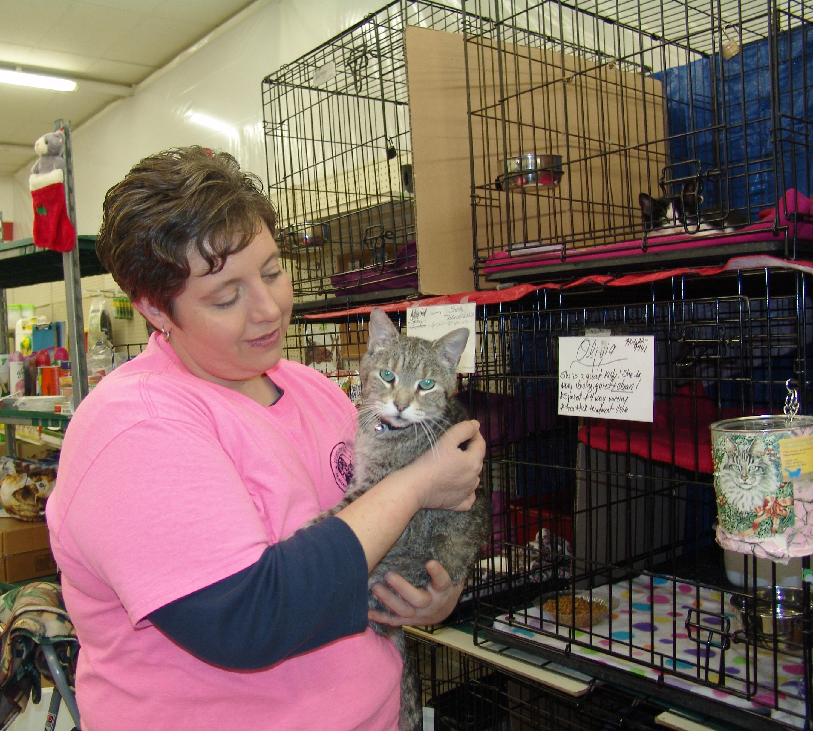 cat wormer at tractor supply